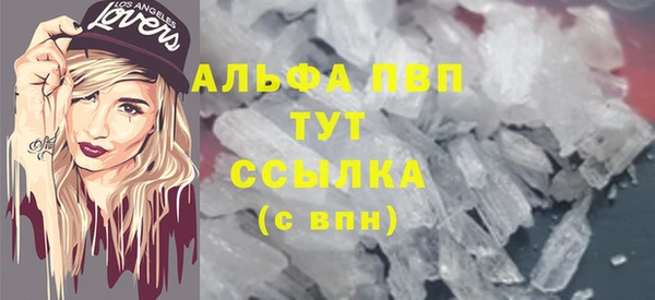 гашиш Богданович