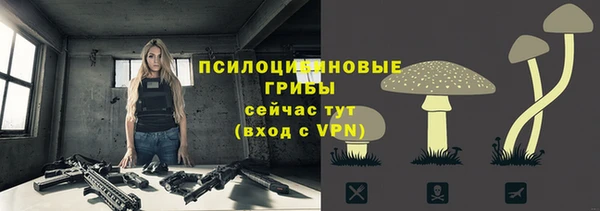 мет Снежногорск