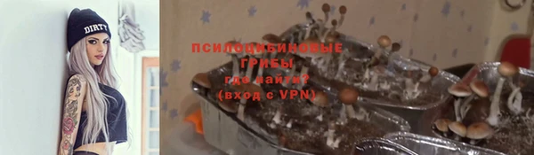 гашиш Богданович