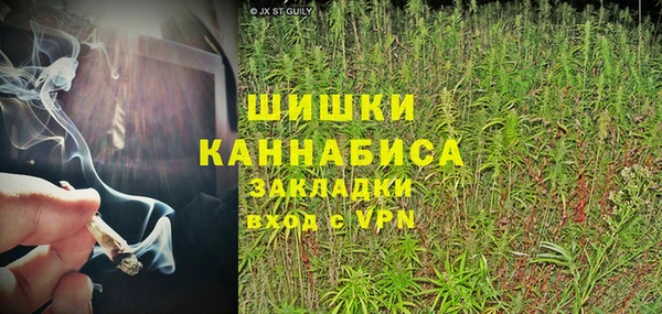 гашиш Богданович