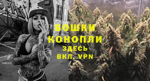 гашиш Богданович
